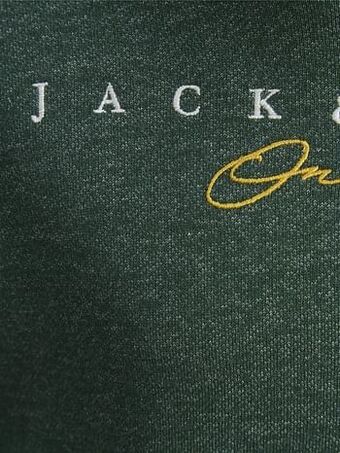 Berca Shoes Jack & Jones Sweater Jortrailer Sweat Hood Groen - Groen aanbieding