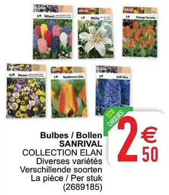 Cora Bulbes - bollen sanrival collection elan aanbieding