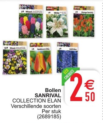 Cora Bollen Sanrival aanbieding