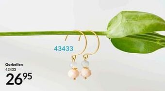 Bon Ap Oorbellen aanbieding