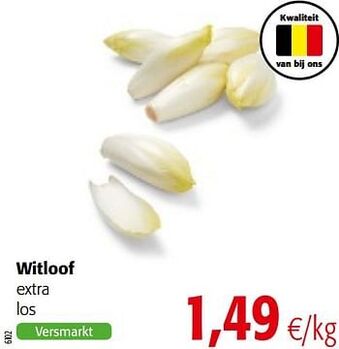 Colruyt Witloof extra aanbieding