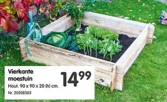 Vierkante moestuin