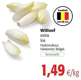 Colruyt Witloof extra aanbieding
