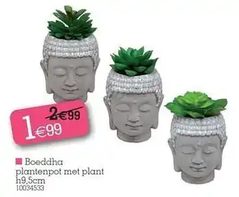 Boeddha plantenpot met plant