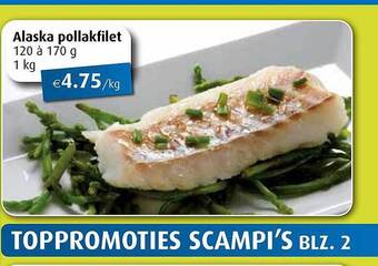 Aronde Alaska Pollakfilet aanbieding