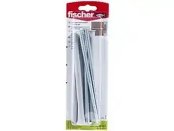 Fischer Fur 10X160Ss K