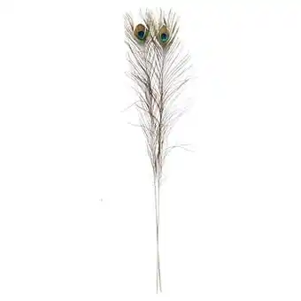 Kwantum Pauwenveer Naturel aanbieding