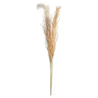 Kwantum Pluim Naturel aanbieding