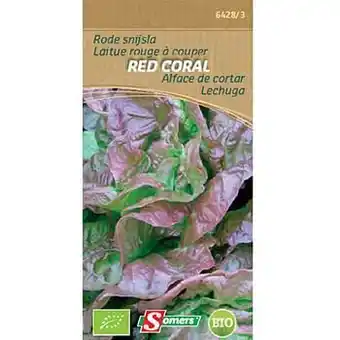 Brico Somers zaad pakket rode snijsla ’Red Coral’ aanbieding