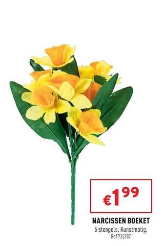 Trafic Narcissen Boeket aanbieding