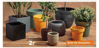 Kwantum Bloempotten aanbieding