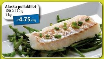 Aronde Alaska pollakfilet aanbieding