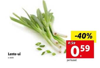 Lidl Lente Ui aanbieding