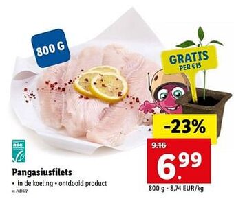 Pangasiusfilets