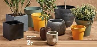 Kwantum Bloempotten aanbieding