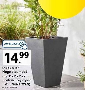 Lidl Hoge bloempot aanbieding