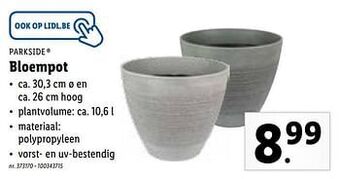 Lidl Bloempot aanbieding