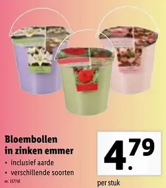 Lidl Bloembollen in zinken emmer aanbieding