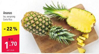 ALDI Ananas aanbieding