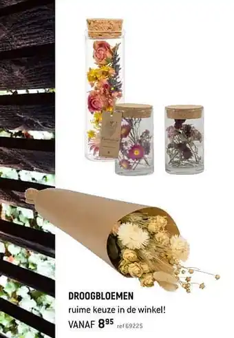 Droogbloemen
