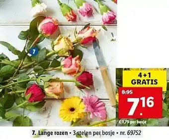 Lidl Lange rozen aanbieding