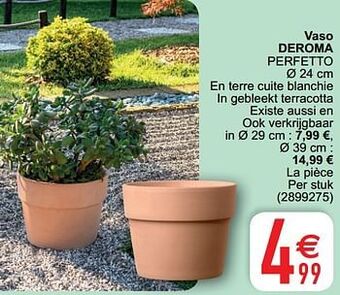 Cora Vaso deroma perfetto aanbieding
