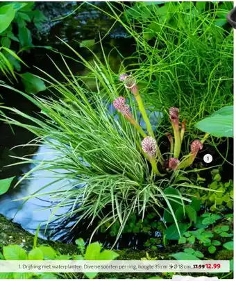 Drijfring met waterplanten