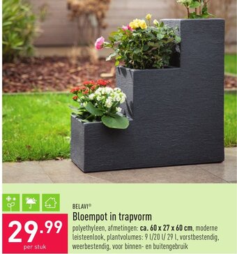 ALDI Bloempot in trapvorm aanbieding