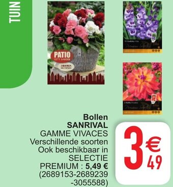 Cora Bollen sanrival aanbieding
