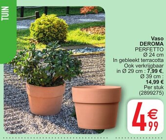 Cora Vaso deroma aanbieding