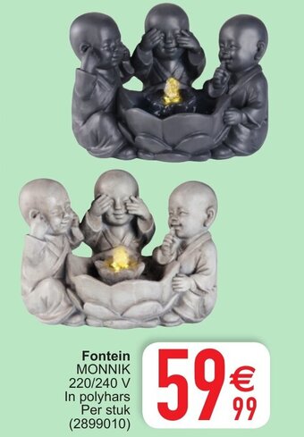 Cora Fontein aanbieding
