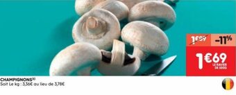 Champignons