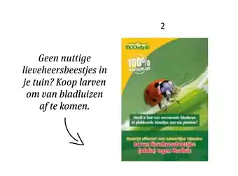 Intratuin ECOstyle larven lieveheersbeestjes aanbieding
