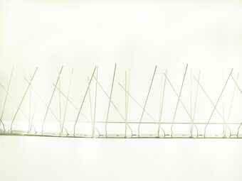 Hubo Scala vogelwering met pinnen 1m aanbieding