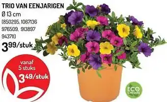 Trio van eenjarigen