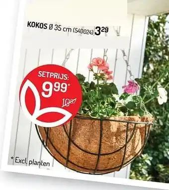 Kokos