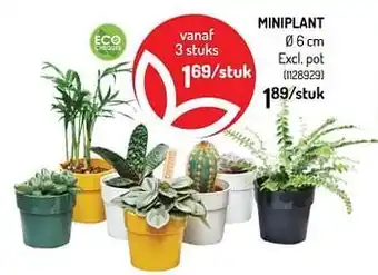 Miniplant