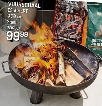 Vuurschaal