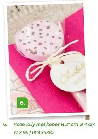 AVA Roze lolly met koper aanbieding