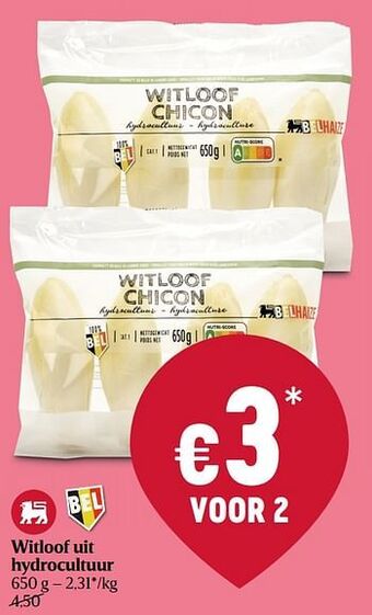 Delhaize Witloof uit hydrocultuur aanbieding
