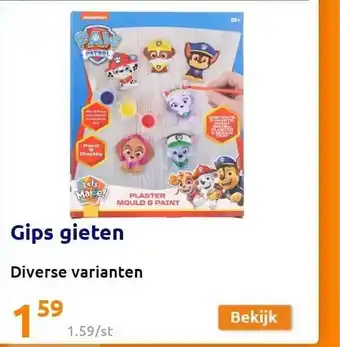 Action Gips Gieten Diverse Varianten aanbieding