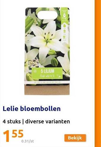 Action Lelie Bloembollen aanbieding
