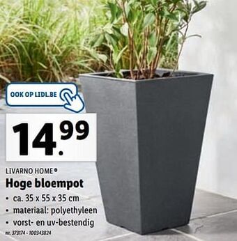 Lidl Hoge bloempot aanbieding