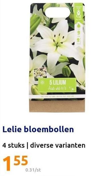 Action Lelie bloembollen aanbieding