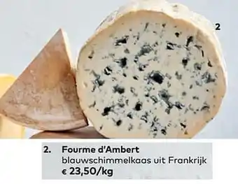 Fourme d`ambert blauwschimmelkaas uit frankrijk