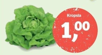 Spar Kropsla aanbieding
