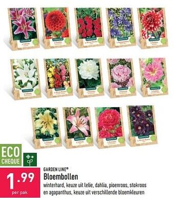 ALDI Bloembollen aanbieding
