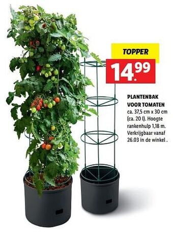 Lidl Plantenbak voor tomaten aanbieding
