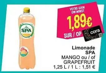 Limonade spa mango ou - of grapefruit