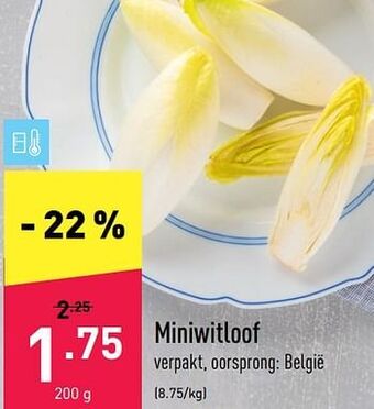 ALDI Miniwitloof aanbieding